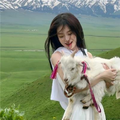 琼森帮的夏令营