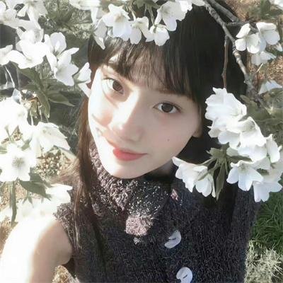 棺姬嘉依卡第二季